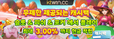 신규 가입 100% 웰컴 보너스 promotional offer